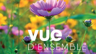 Magazine Vue d'Ensemble N. 4 - Mars 2020