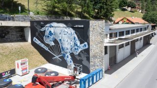 Vision Art Festival: quand les rois du Street Art découvrent la faune et la flore de Crans-Montana